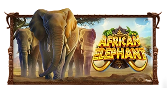 African Elephant