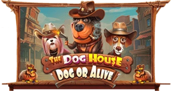 The Dog House Dog Or Alive
